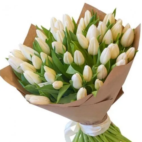 Bouquet of 51 Tulips White