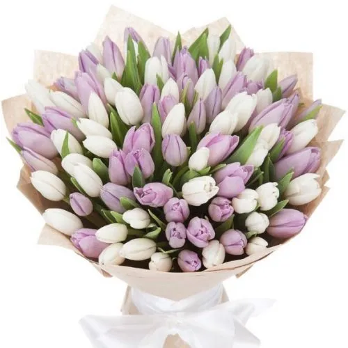 75 Tulips mix