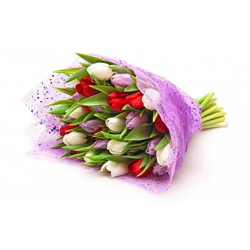 Bouquet 25 Tulips Mix
