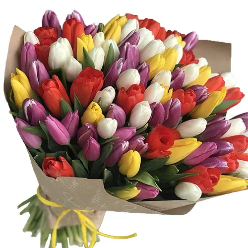 101 Tulips (mix)
