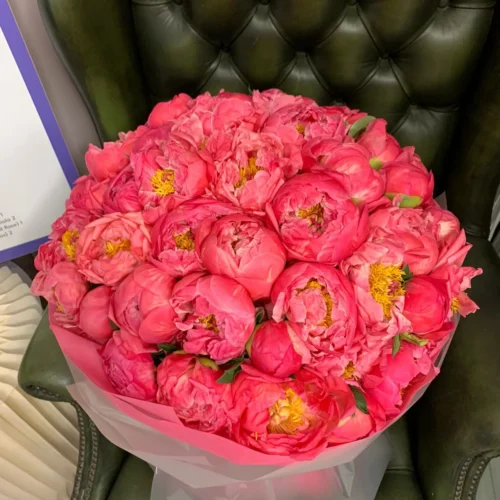 Bouquet of 51 Peonies