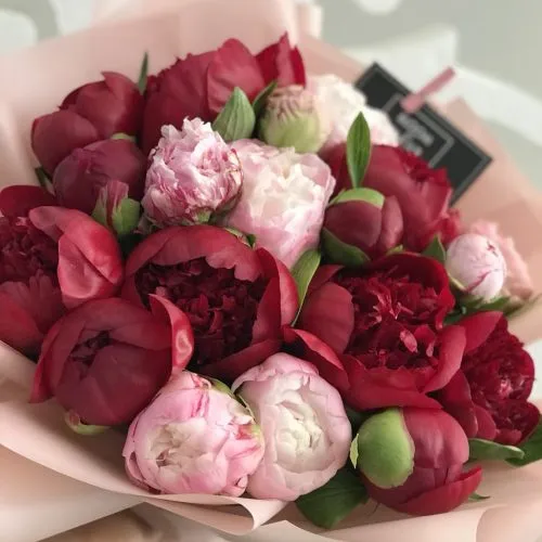 Bouquet of Peonies (19)