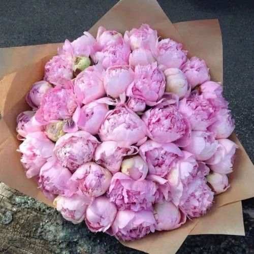 Bouquet of 51 Peonies