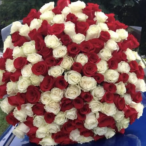 Bouquet of 201 Roses