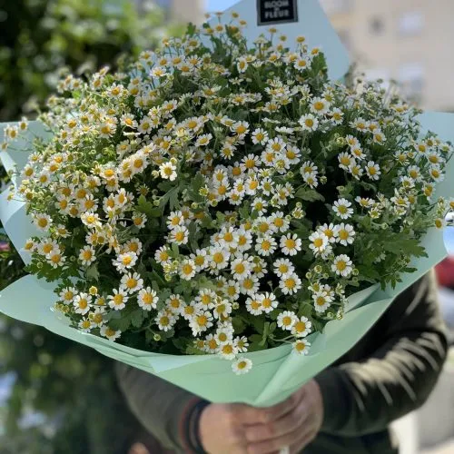 Букет из Ромашек