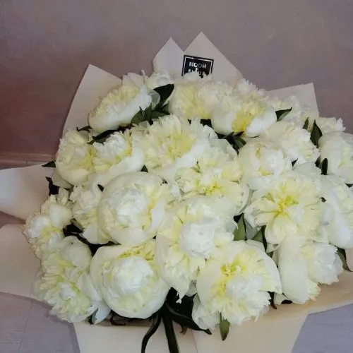 Bouquet of 25 white Peonies
