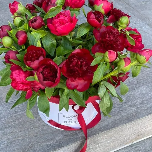 Red peonies in box