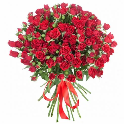 Красные кустовые розы