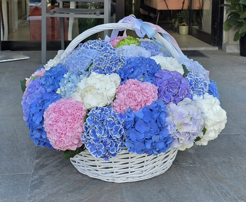 Blue and pink hydrangeas in a basket