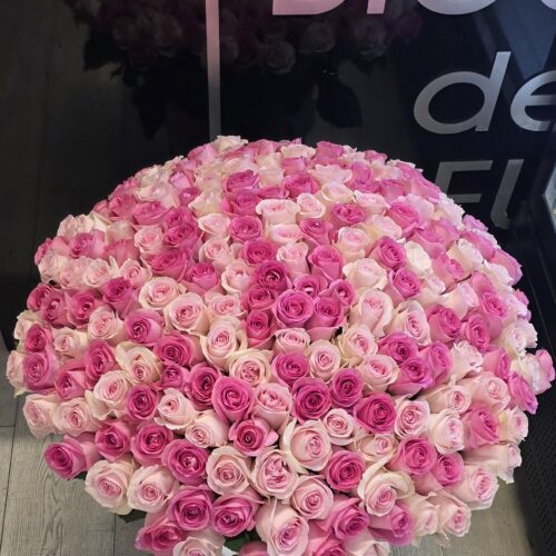 201 Pink Roses