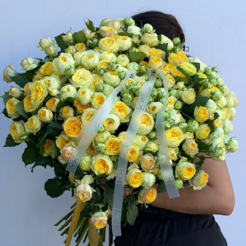 Yellow peony-shaped bush roses